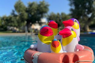 Intensivkurs in den Frühlingsferien - Anmeldung ab sofort möglich.