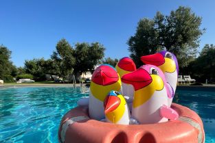 🐠 Kinderkurse in den Sportferien 2026 - jetzt anmelden 🐬!