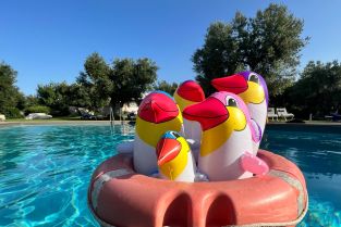 Frühlingsintensivkurs - Jetzt anmelden!