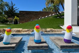 Intensivkurse im Sommer 2025: Hier Anmelden!